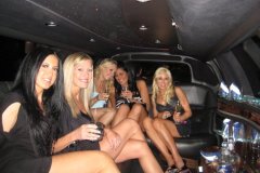 Black Tie Limousine of Texas